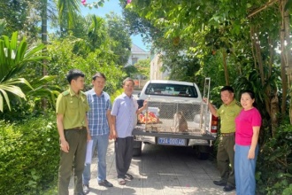 Phong Nha - Kẻ Bàng:  Hai cá thể động vật quý hiếm được tiếp nhận cứu hộ